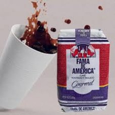 CAFE FAMA DE AMERICA 100G